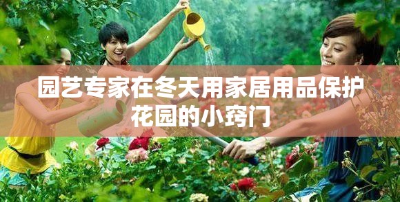 园艺专家在冬天用家居用品保护花园的小窍门
